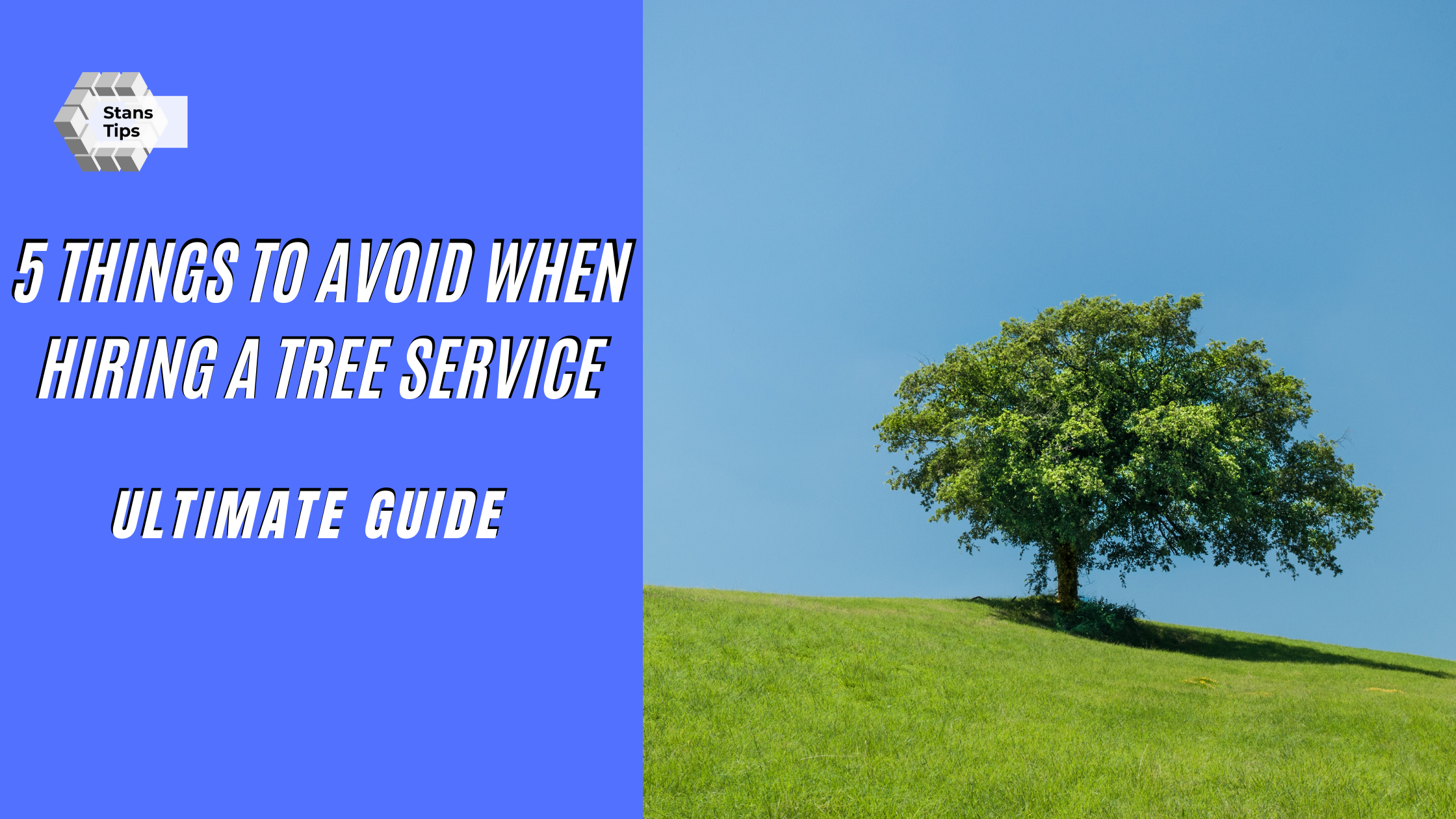 5 Things to avoid when hiring a tree service